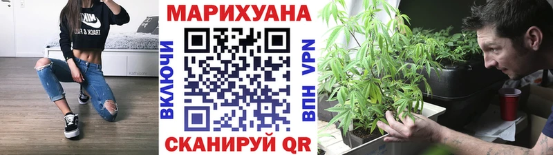 где можно купить наркотик  Ясногорск  MEGA вход  Конопля семена 